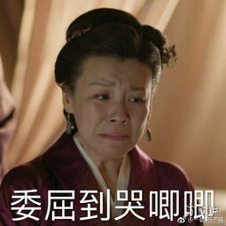 知否王大娘子表情包合集知否知否应是绿肥红瘦大娘子表情包合集汇总大全游侠手游