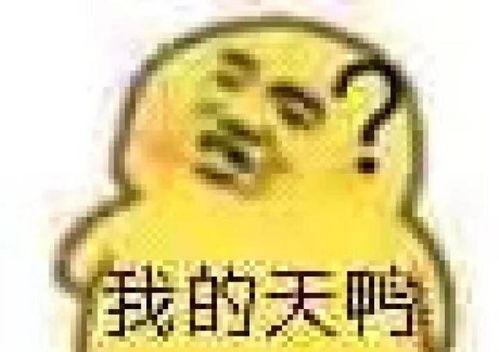 q收藏夹
