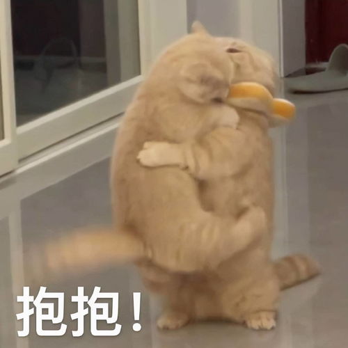 疫情这所学校又被冲上热搜