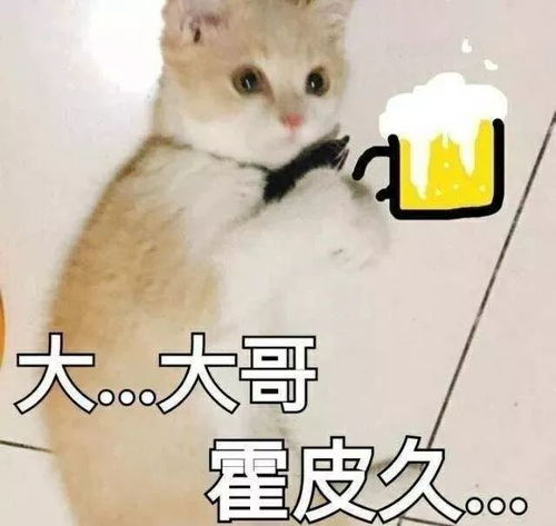 说啥大实话表情包工资