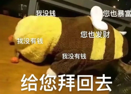 沙雕表情包哈哈哈想不到吧我还没睡
