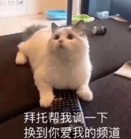 为什么男人都爱绿茶好家伙,输得明明白白