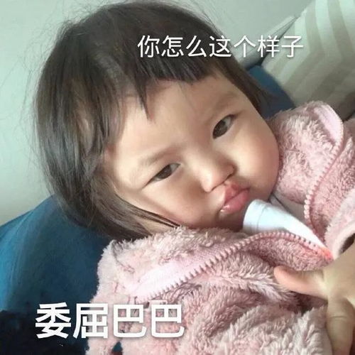 表情包早啊,今天也是爱你的一天