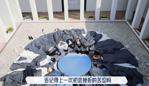 桃花坞第二次行为艺术让我看到社会人的现实,村长反思点啥吧