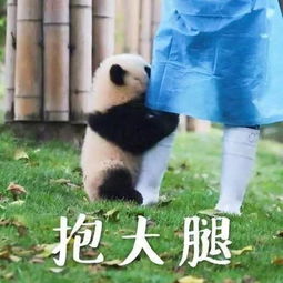 周六特辑no.1可以和我啵啵吗