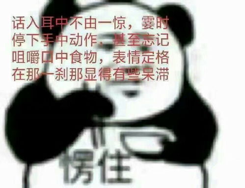 表情有用收藏夹表情