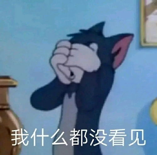 20张猫和老鼠表情包分享