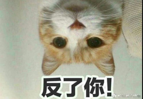 最新进展河北省委督导组介入调查阜平县事件