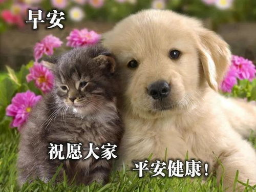 深度有品位的正能量坚强句子,暖心励志