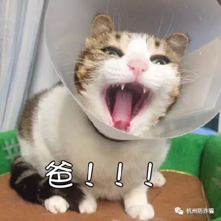 家长防骗指南别让爱变成骗子行骗的工具