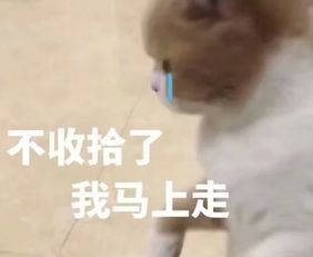 转账中表情包图片大全高清无水印版