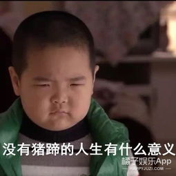 假笑男孩谢飞机宋民国,这些称霸表情包的萌娃都怎么样了