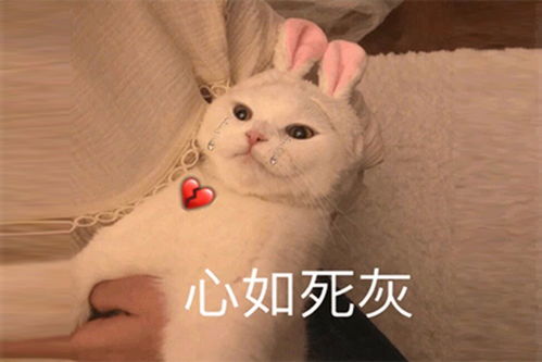 汉语好学吗看外国人那表情,网友像极学英语的我