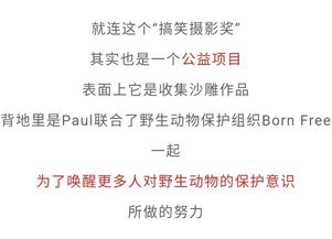 2019迎国庆国家地理废片大赛出炉40张黑历史被6万网友制成表情包,动物看了想打人