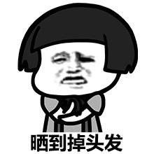 我的命是这冰块给的超热蘑菇头表情包无水印合集