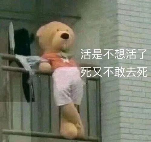 表情包你说什么就是什么咯,反正我又不敢顶嘴