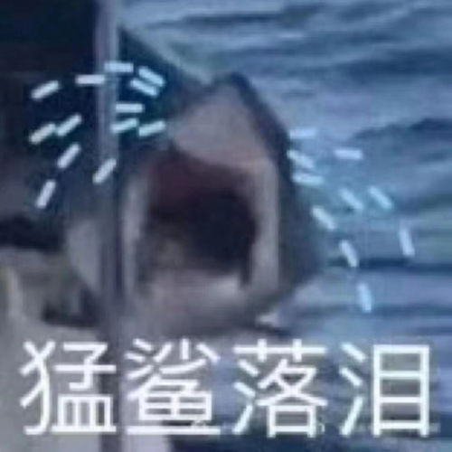 找一部星空卫视播放过的日本电影
