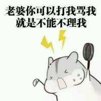 小松鼠老婆表情包