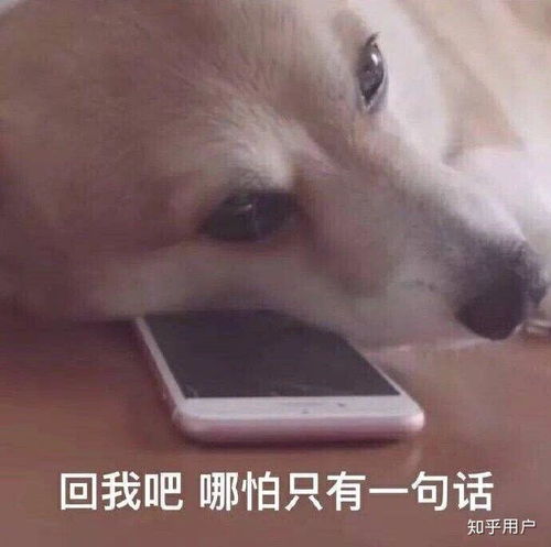 他收藏夹