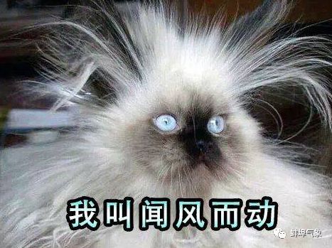 七天预报六个晴,尽情享受太阳的火热吧