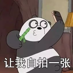 凯骏集团,恭贺新春