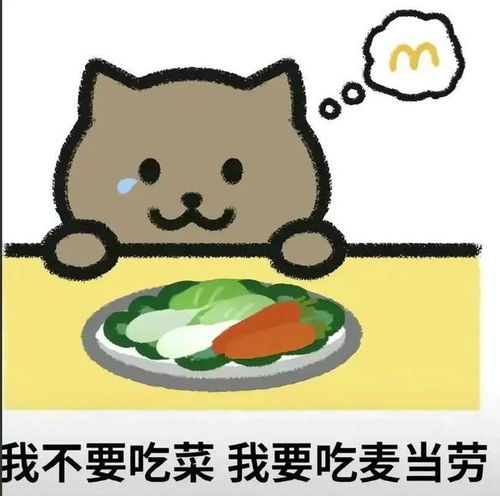 胖猫图片点外卖表情包