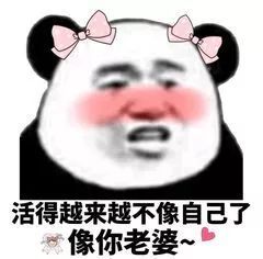 不要让我看见你,不然见一次喜欢一次