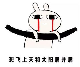 北方气温最高达40度,表情包都要热化了