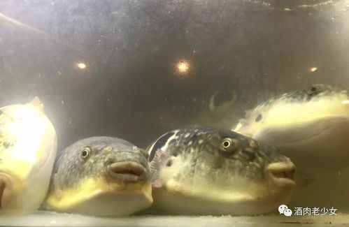 这一顿春天的鲜美,帮我打开一整年的味蕾