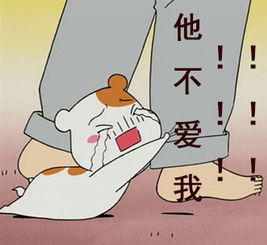 可爱的仓鼠表情包