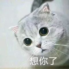 情歌王子走心献唱,要你泪流满面没商量