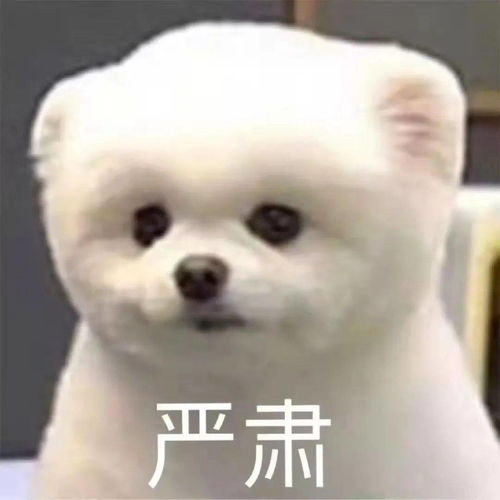 社保断缴了怎么办有5类人不用交2类人交了也白交你知道吗