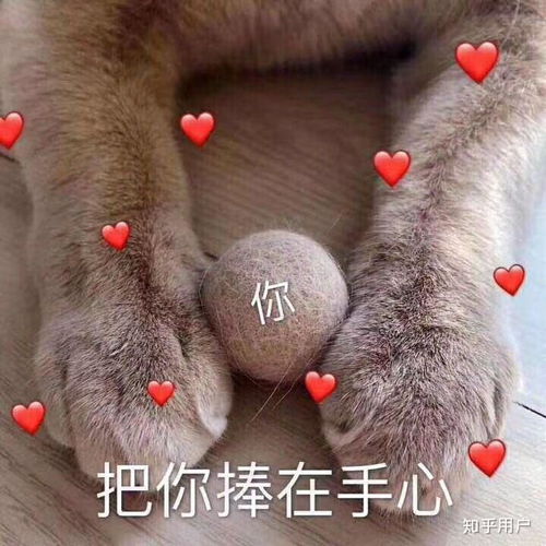 你为什么不愿意进入体制内