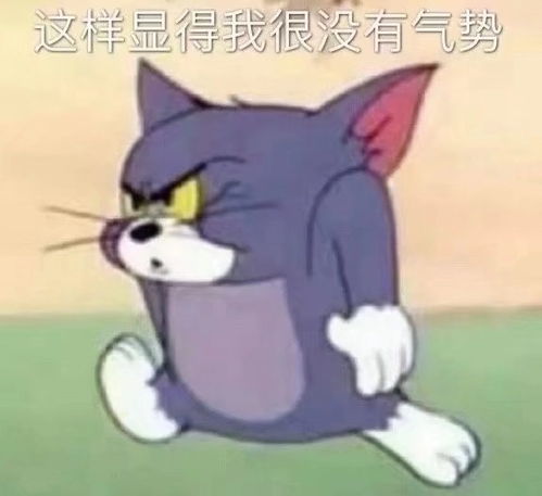 表情包猫和老鼠来咯