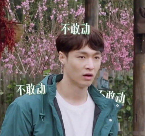 向往的生活5开播,张艺兴被彩灯吓出表情包,想靠近却又害怕