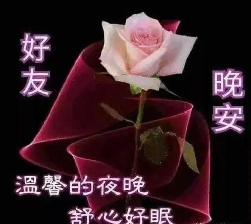 睡前发微信群晚上好问候动态表情晚安问候语图片带字