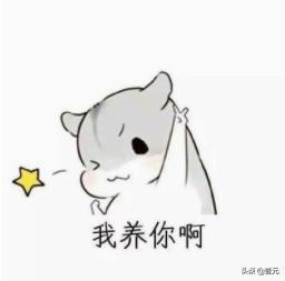 干货求生欲超强的表情包