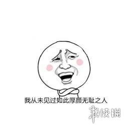 我从未见过有如此厚颜无耻之人是谁说的我从未见过有如此厚颜无耻之人表情包