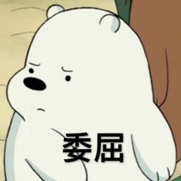 刘阿圆抱着猪的表情包猪精女孩