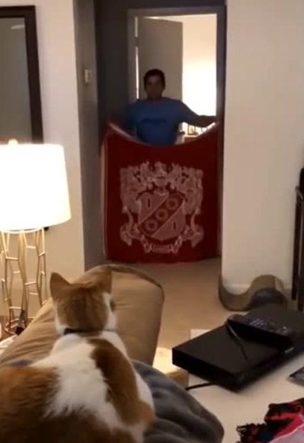 跟猫一起躲猫猫,看他好惊讶的表情