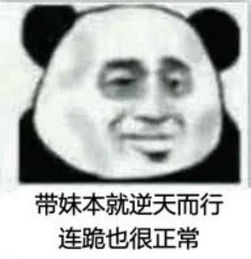 熊猫头斗图表情包怎么,你还敢过来打我不成