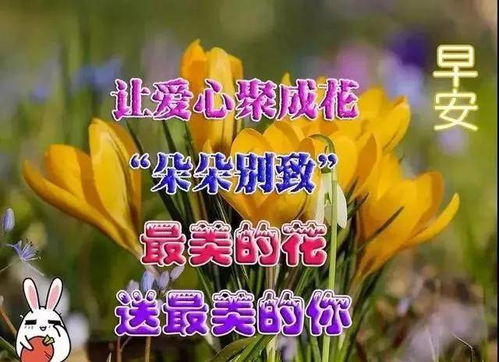 晚上好动画片表情