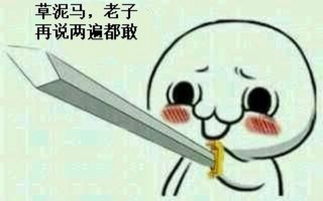 考试就是哪里不会考哪里