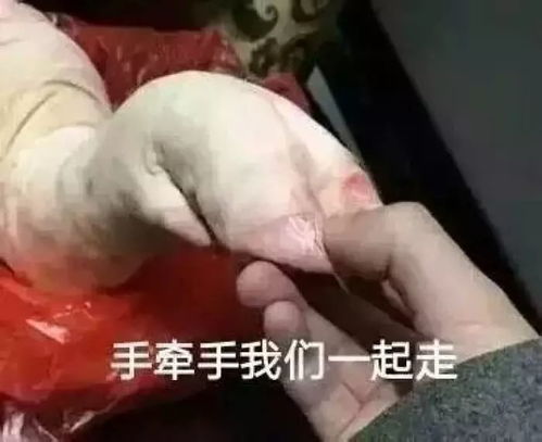 看客观天下抢新春利是
