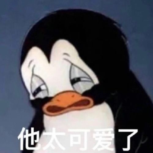 美人备忘录