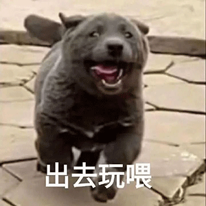 抖音英短蓝狗梗图片英短蓝狗表情包