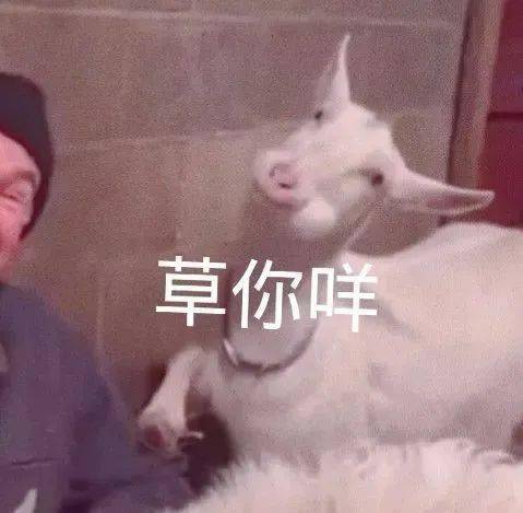 太骚了得吃药