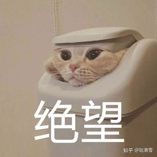玩滑雪雪圈怼人专用表情包