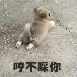 说啥大实话表情包netty