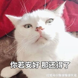 爆笑段子女友下班回来,啪了我一嘴巴子哥们